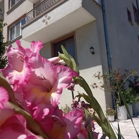 николови Pensjonat Kiten (Burgas)